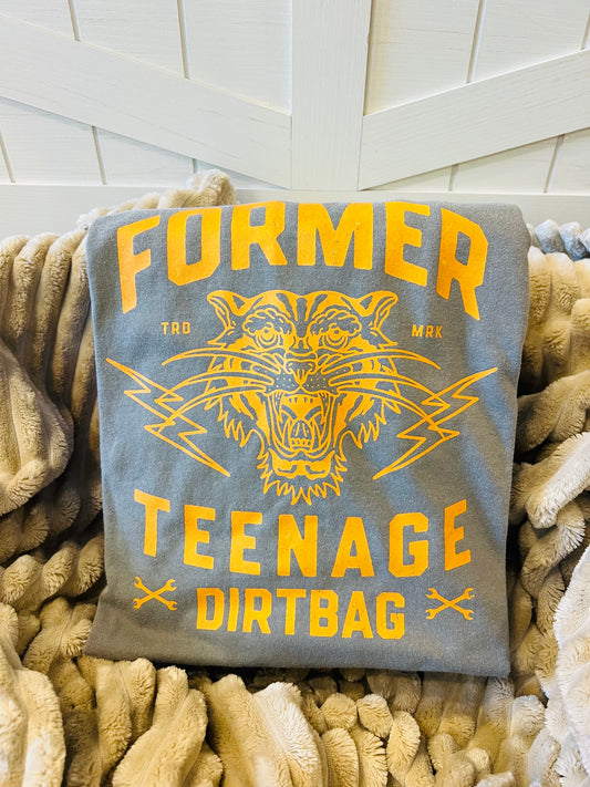 Printed Former Teenage Dirtbag - Grey Tee